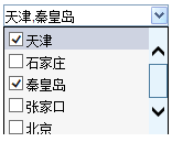 Smartbi V6 帮助中心 > 公共设置项 > image2014-6-23 10:34:41.png
